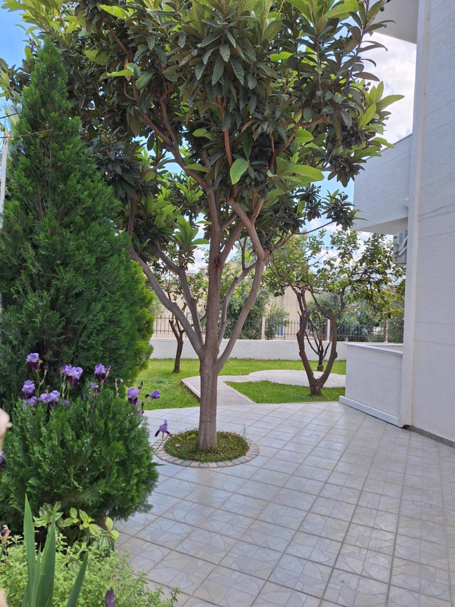 Vila Anxhelo Ksamil Exteriér fotografie